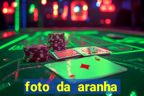 foto da aranha mais feia do mundo